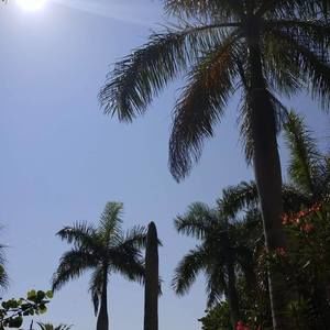 Meet your Posher, Jake